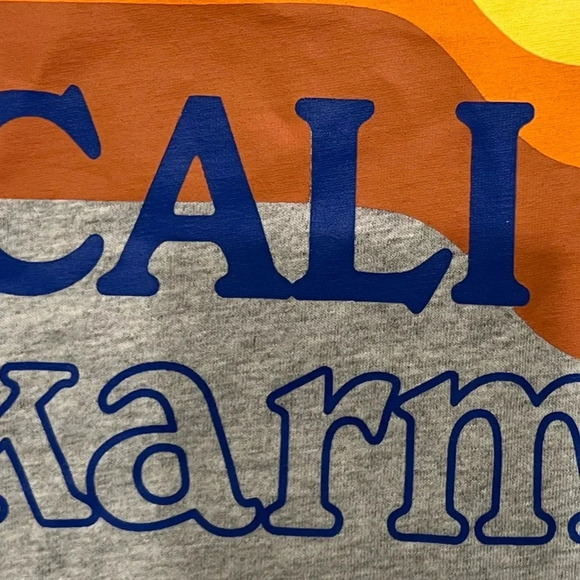 NWT Hundred Pieces Grey Short Sleeve Cali Karma Tee Shirt cropped style - Picture 3 of 7